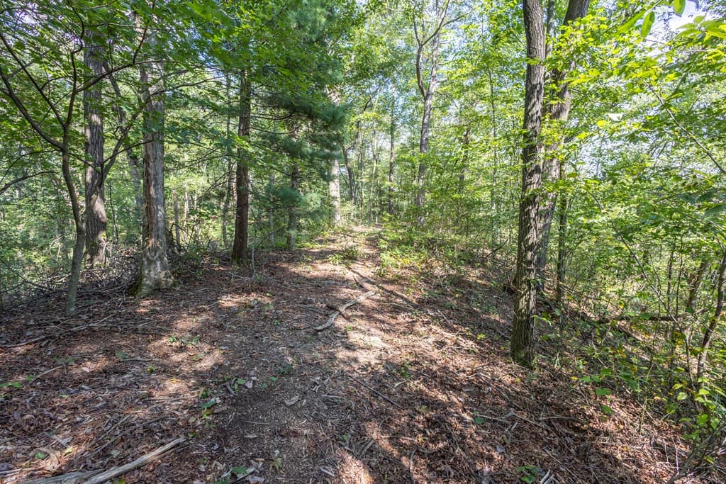 23.59 AC Chestnut Flats Road, Andrews NC 28901 - Photo