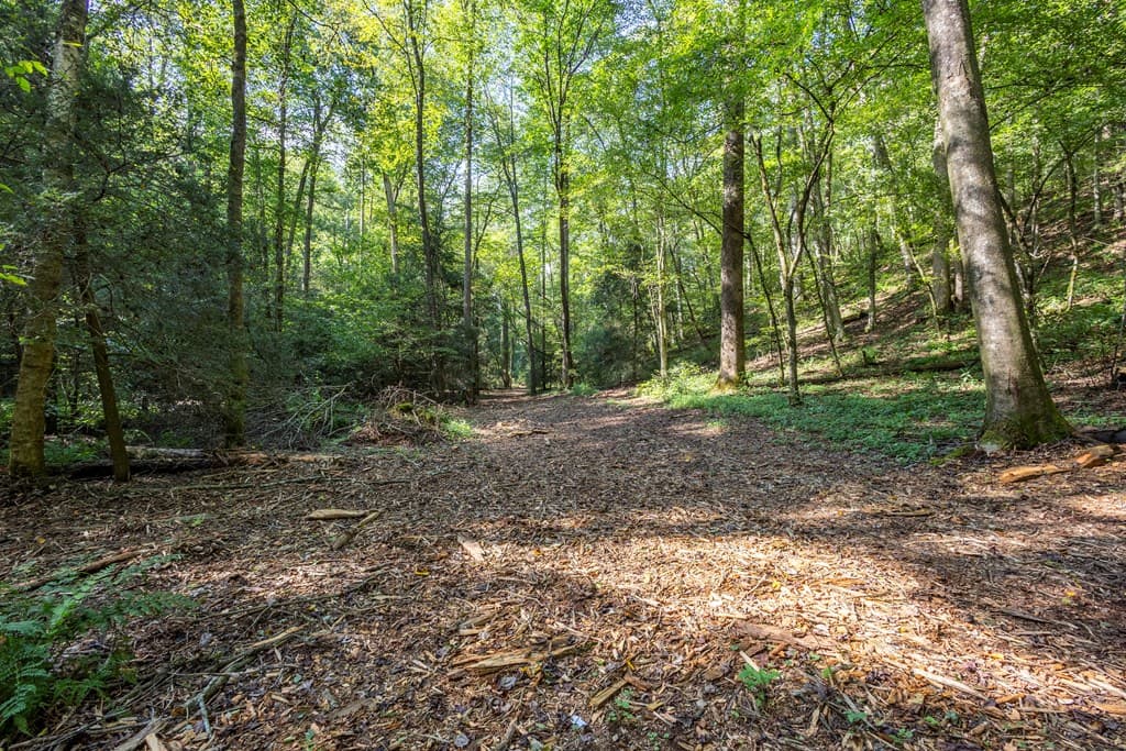 23.59 AC Chestnut Flats Road, Andrews NC 28901 - Photo