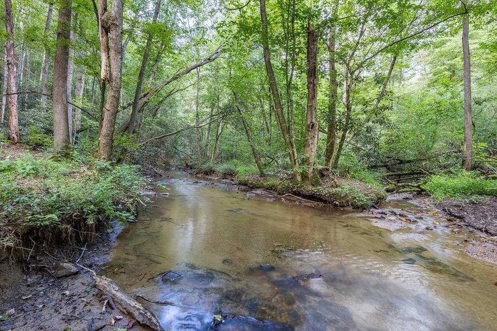 23.59 AC Chestnut Flats Road, Andrews NC 28901 - Primary photo