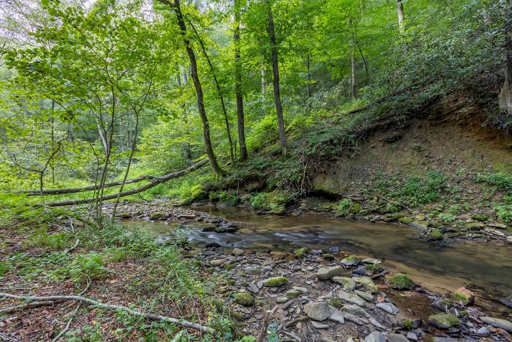 23.59 AC Chestnut Flats Road, Andrews NC 28901 - Photo