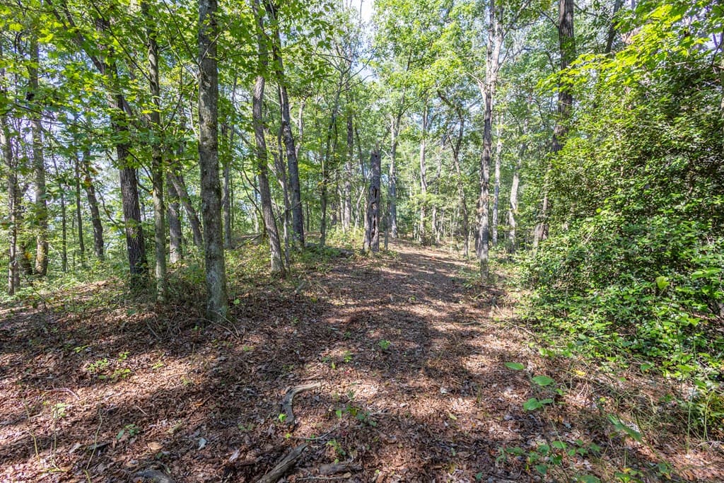 23.59 AC Chestnut Flats Road, Andrews NC 28901 - Photo