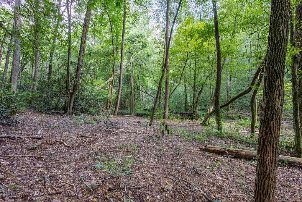 23.59 AC Chestnut Flats Road, Andrews NC 28901 - Photo