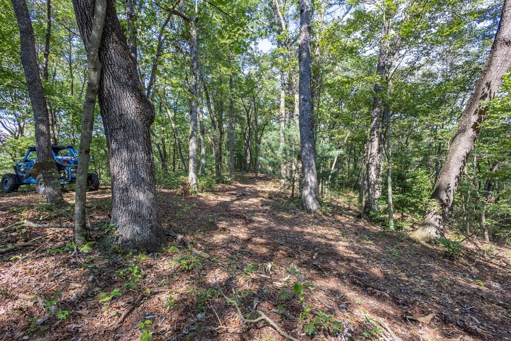 23.59 AC Chestnut Flats Road, Andrews NC 28901 - Photo