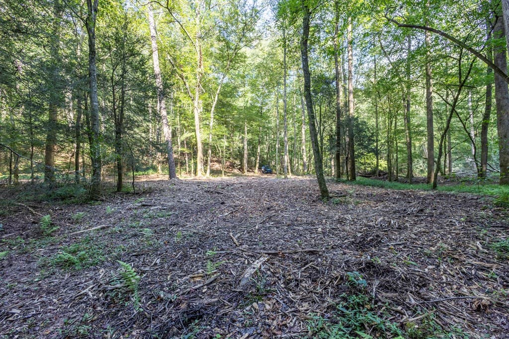 23.59 AC Chestnut Flats Road, Andrews NC 28901 - Photo