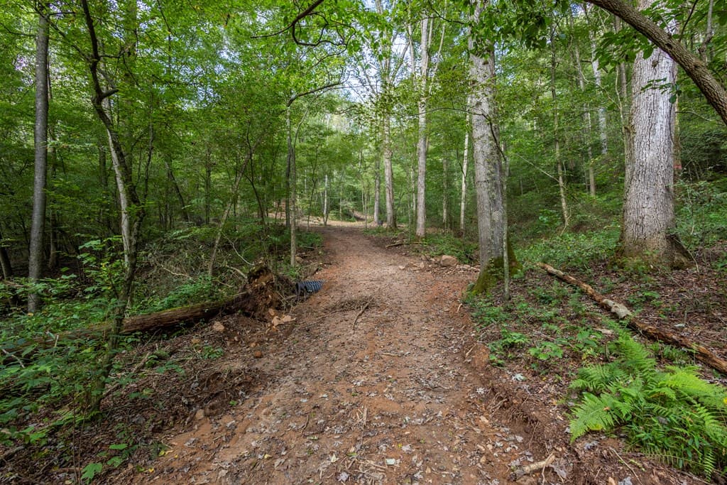 23.59 AC Chestnut Flats Road, Andrews NC 28901 - Photo