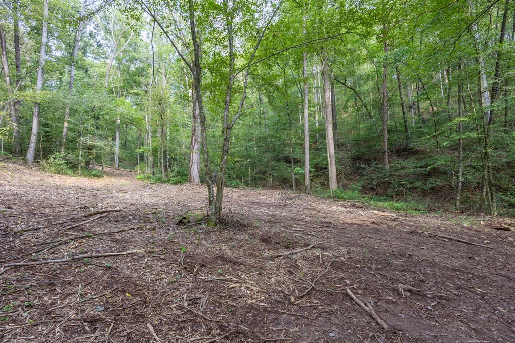 23.59 AC Chestnut Flats Road, Andrews NC 28901 - Photo