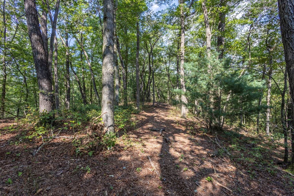 23.59 AC Chestnut Flats Road, Andrews NC 28901 - Photo