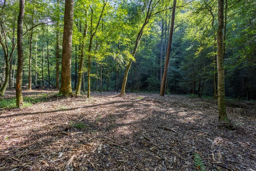 23.59 AC Chestnut Flats Road, Andrews NC 28901 - Photo