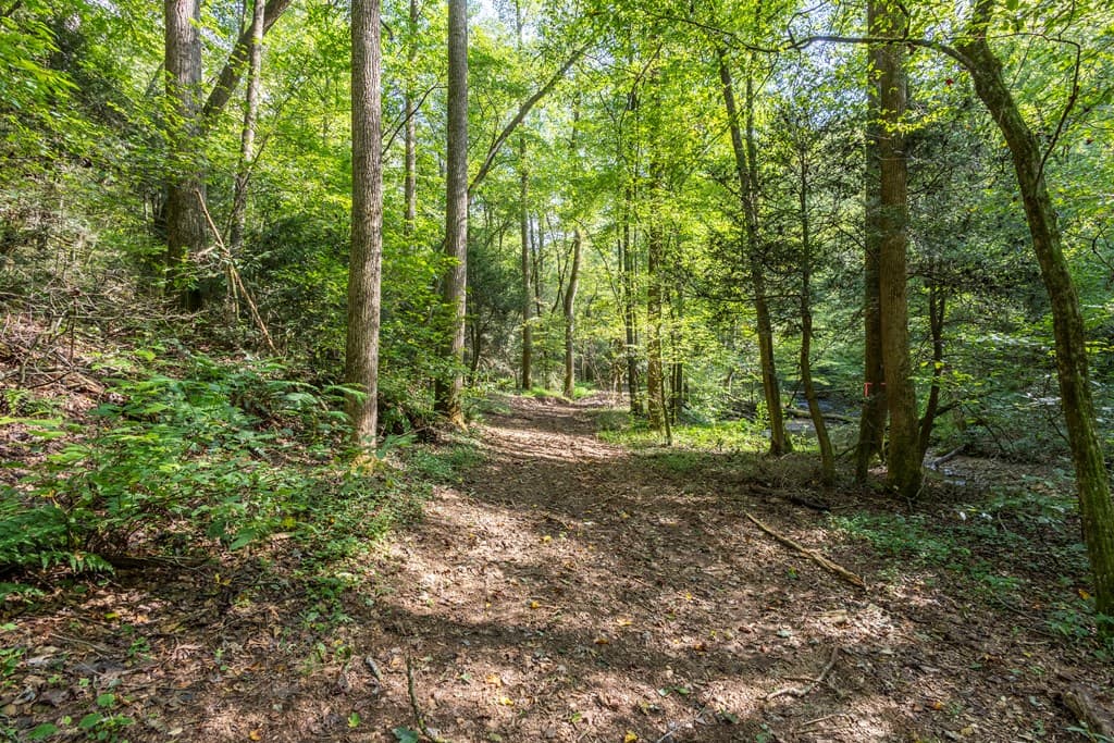 23.59 AC Chestnut Flats Road, Andrews NC 28901 - Photo