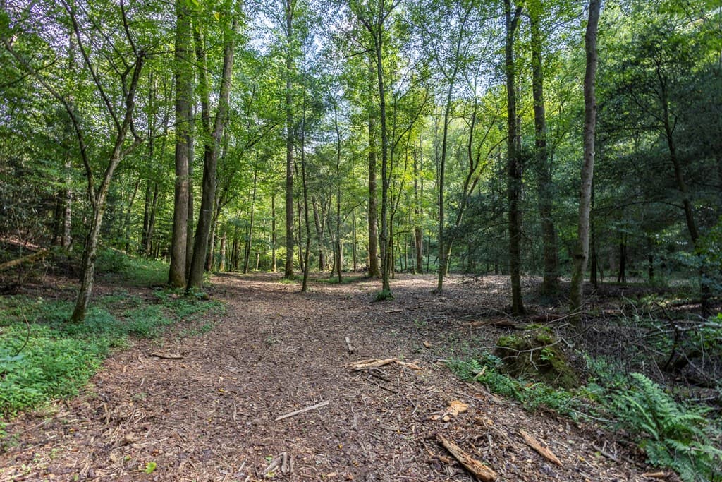 23.59 AC Chestnut Flats Road, Andrews NC 28901 - Photo
