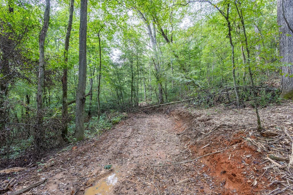 23.59 AC Chestnut Flats Road, Andrews NC 28901 - Photo
