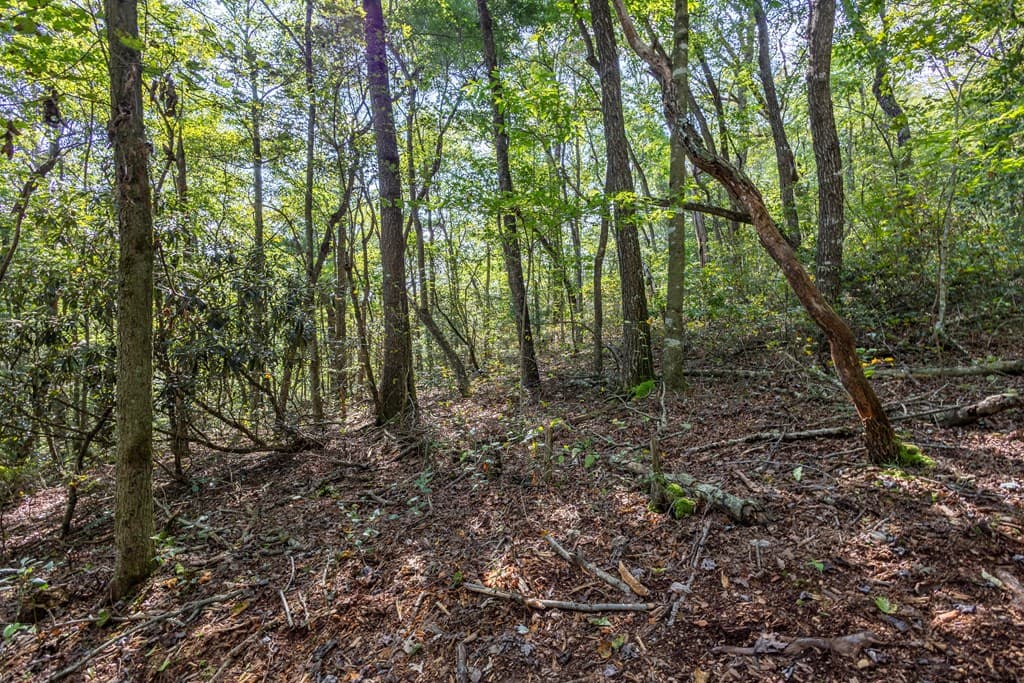 23.59 AC Chestnut Flats Road, Andrews NC 28901 - Photo