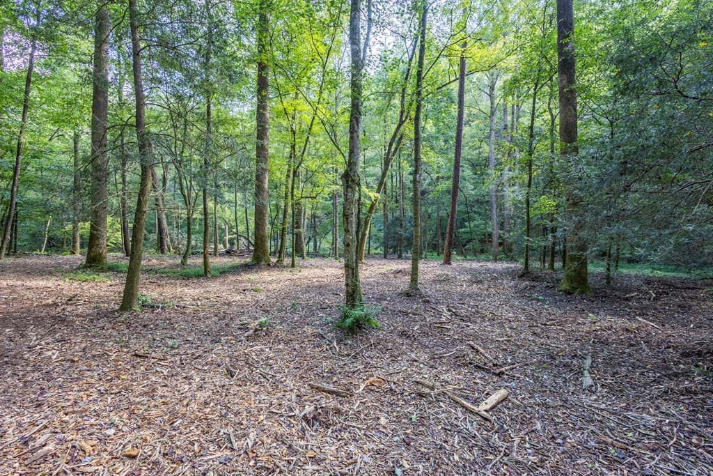 23.59 AC Chestnut Flats Road, Andrews NC 28901 - Photo