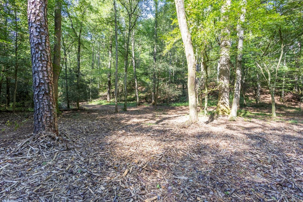 23.59 AC Chestnut Flats Road, Andrews NC 28901 - Photo