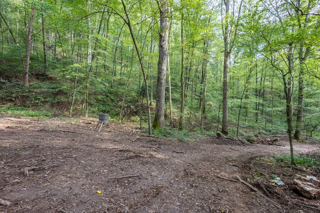 23.59 AC Chestnut Flats Road, Andrews NC 28901 - Photo