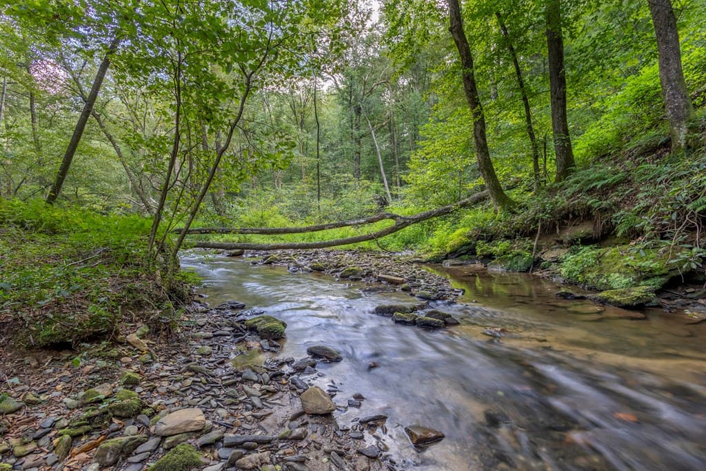 23.59 AC Chestnut Flats Road, Andrews NC 28901 - Photo