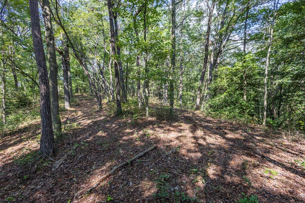 23.59 AC Chestnut Flats Road, Andrews NC 28901 - Photo