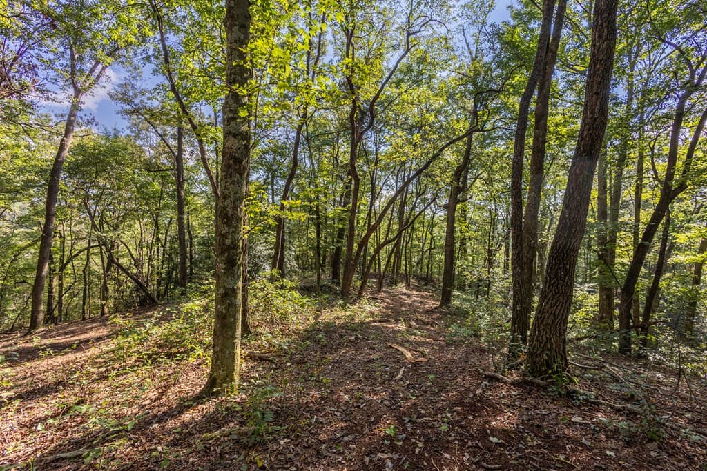 23.59 AC Chestnut Flats Road, Andrews NC 28901 - Photo