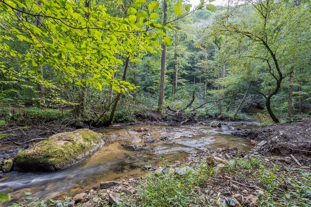 23.59 AC Chestnut Flats Road, Andrews NC 28901 - Photo