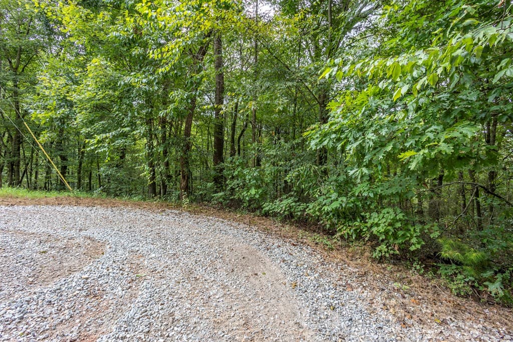 3 AC Chestnut Flats Road, Andrews NC 28901 - Photo