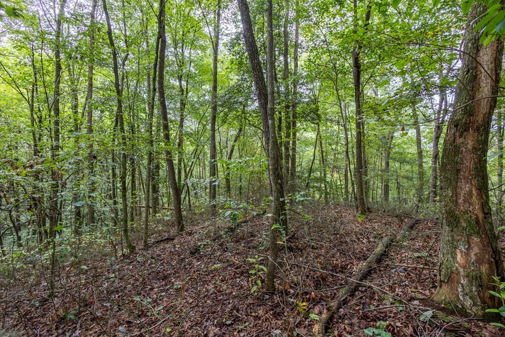 3 AC Chestnut Flats Road, Andrews NC 28901 - Photo