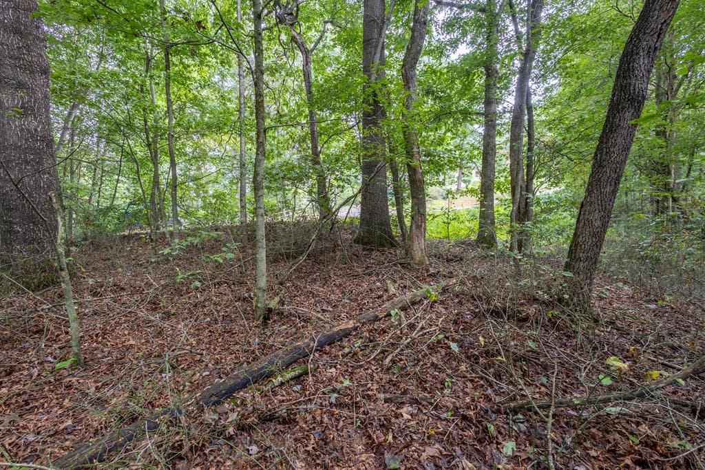 3 AC Chestnut Flats Road, Andrews NC 28901 - Primary photo