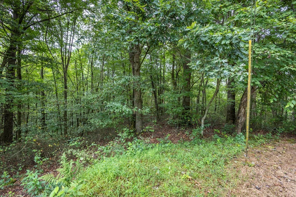 3 AC Chestnut Flats Road, Andrews NC 28901 - Photo