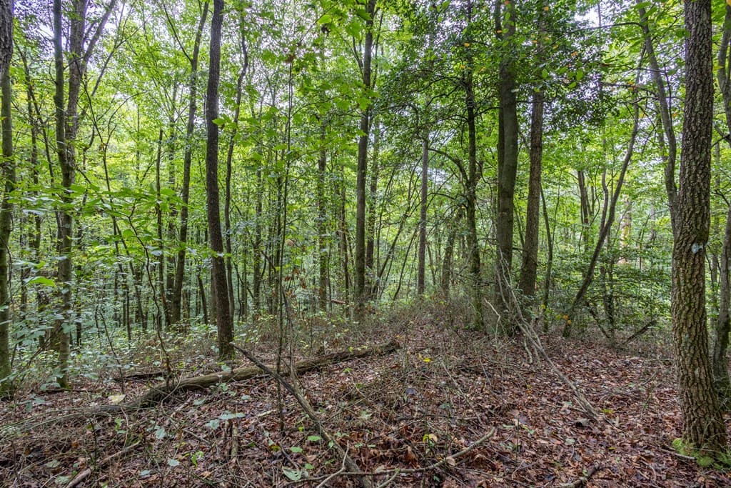 3 AC Chestnut Flats Road, Andrews NC 28901 - Photo