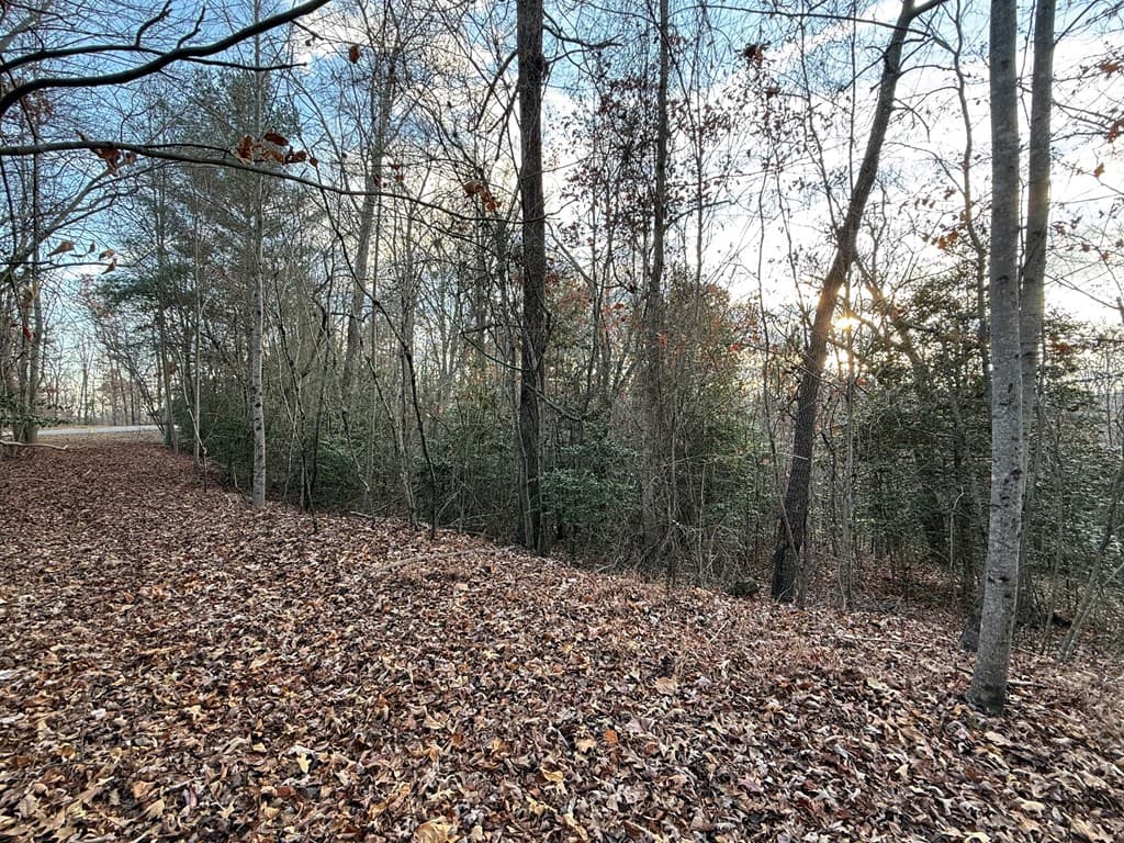 28/32 Stuart Ridge Road, Mineral Bluff GA 30559 - Photo