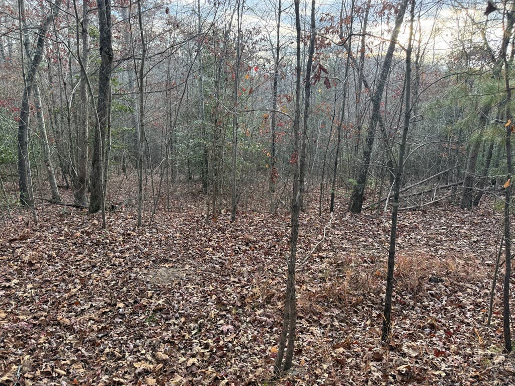 28/32 Stuart Ridge Road, Mineral Bluff GA 30559 - Photo