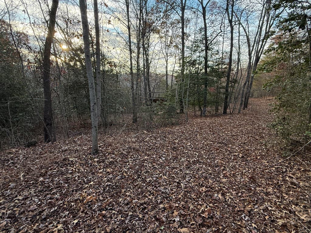 28/32 Stuart Ridge Road, Mineral Bluff GA 30559 - Photo