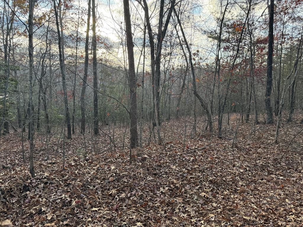 28/32 Stuart Ridge Road, Mineral Bluff GA 30559 - Primary photo