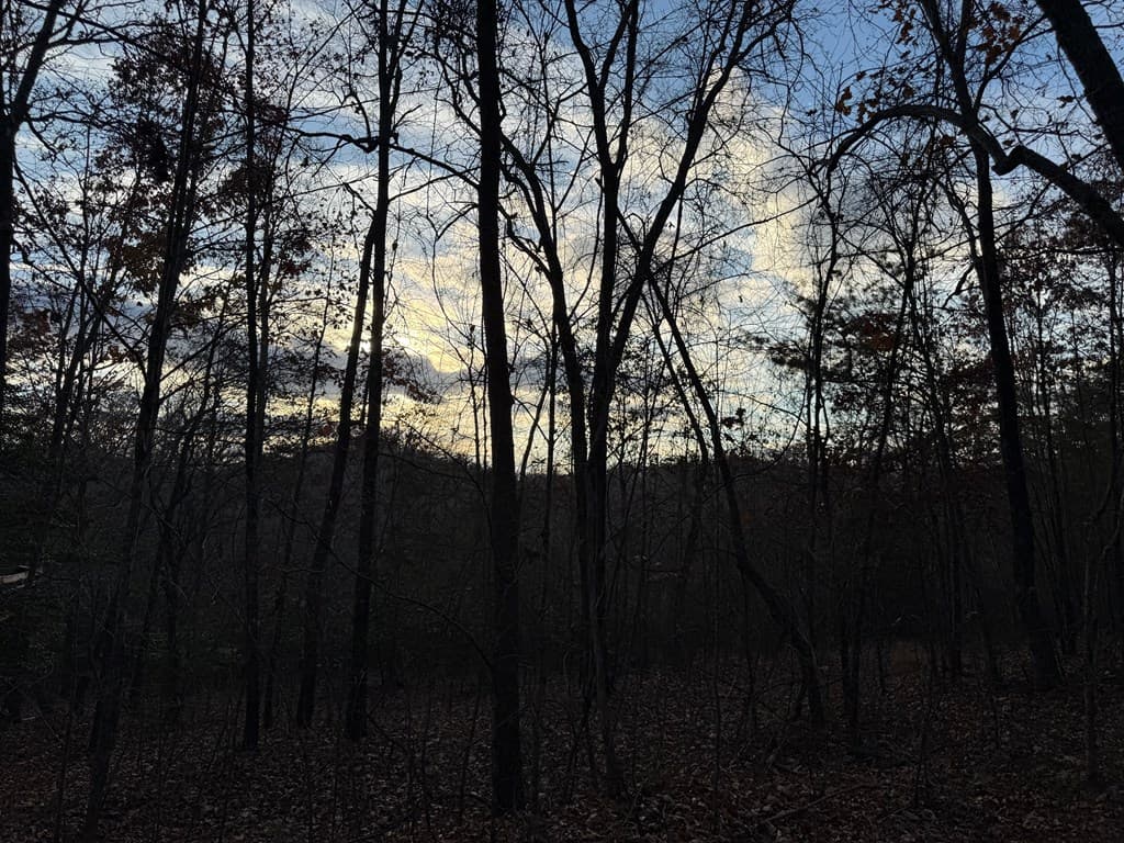 28/32 Stuart Ridge Road, Mineral Bluff GA 30559 - Photo