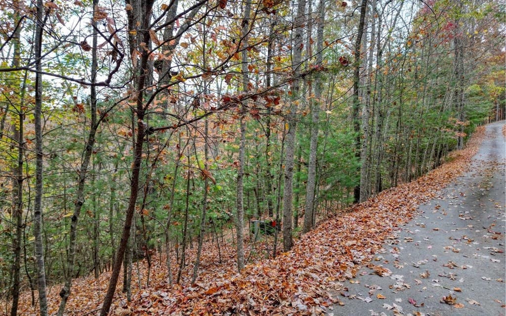 LT 10 Amy Lynn Drive, Blairsville GA 30512 - Photo
