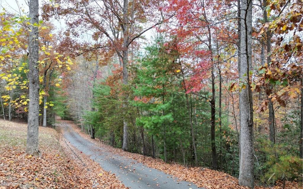 LT 10 Amy Lynn Drive, Blairsville GA 30512 - Primary photo