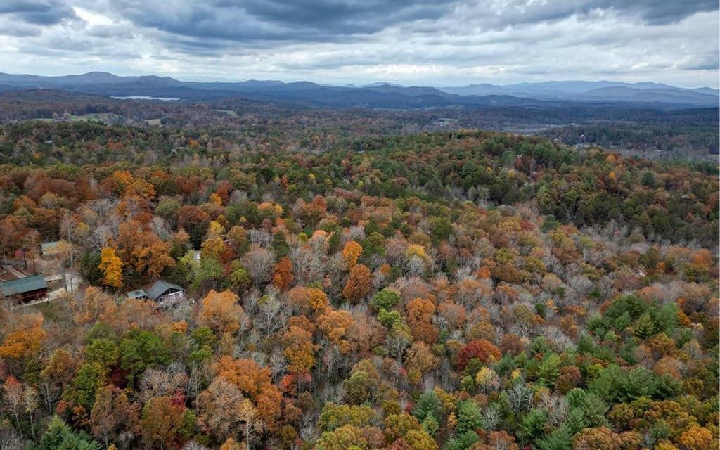 LT 10 Amy Lynn Drive, Blairsville GA 30512 - Photo