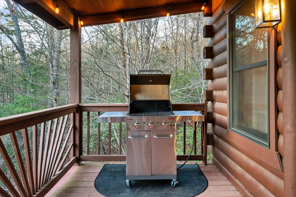 239 Ernest Alta Circle, Blue Ridge GA 30513 - Photo