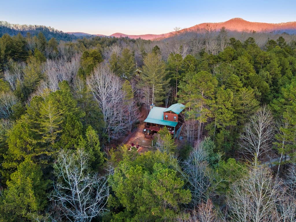 239 Ernest Alta Circle, Blue Ridge GA 30513 - Photo