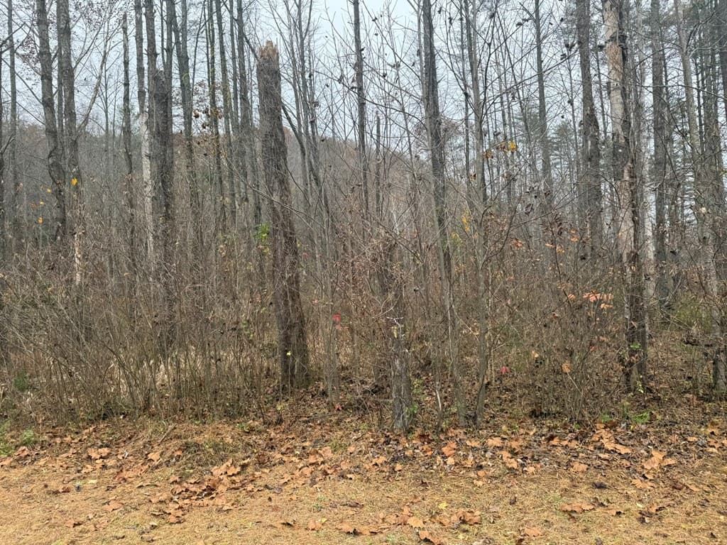 0 Rushing Water Trail, Hayesville NC 28904 - Photo
