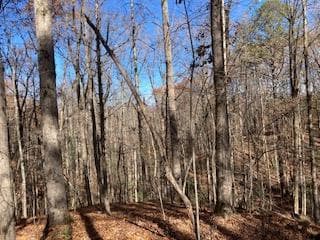 Lot 260 Catawba Circle, Ellijay GA 30540 - Photo