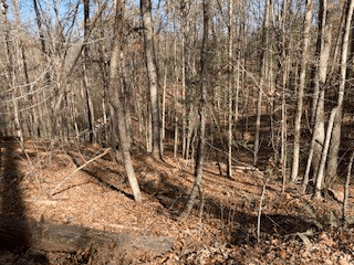 Lot 260 Catawba Circle, Ellijay GA 30540 - Photo