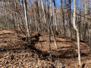 Lot 260 Catawba Circle, Ellijay GA 30540 - Photo