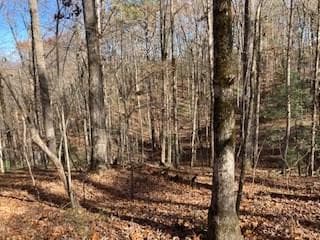 Lot 260 Catawba Circle, Ellijay GA 30540 - Primary photo