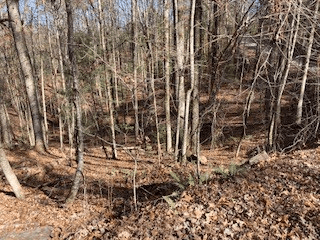 Lot 260 Catawba Circle, Ellijay GA 30540 - Photo