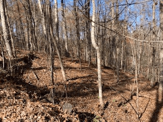 Lot 260 Catawba Circle, Ellijay GA 30540 - Photo