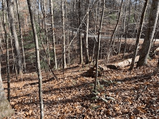 Lot 260 Catawba Circle, Ellijay GA 30540 - Photo