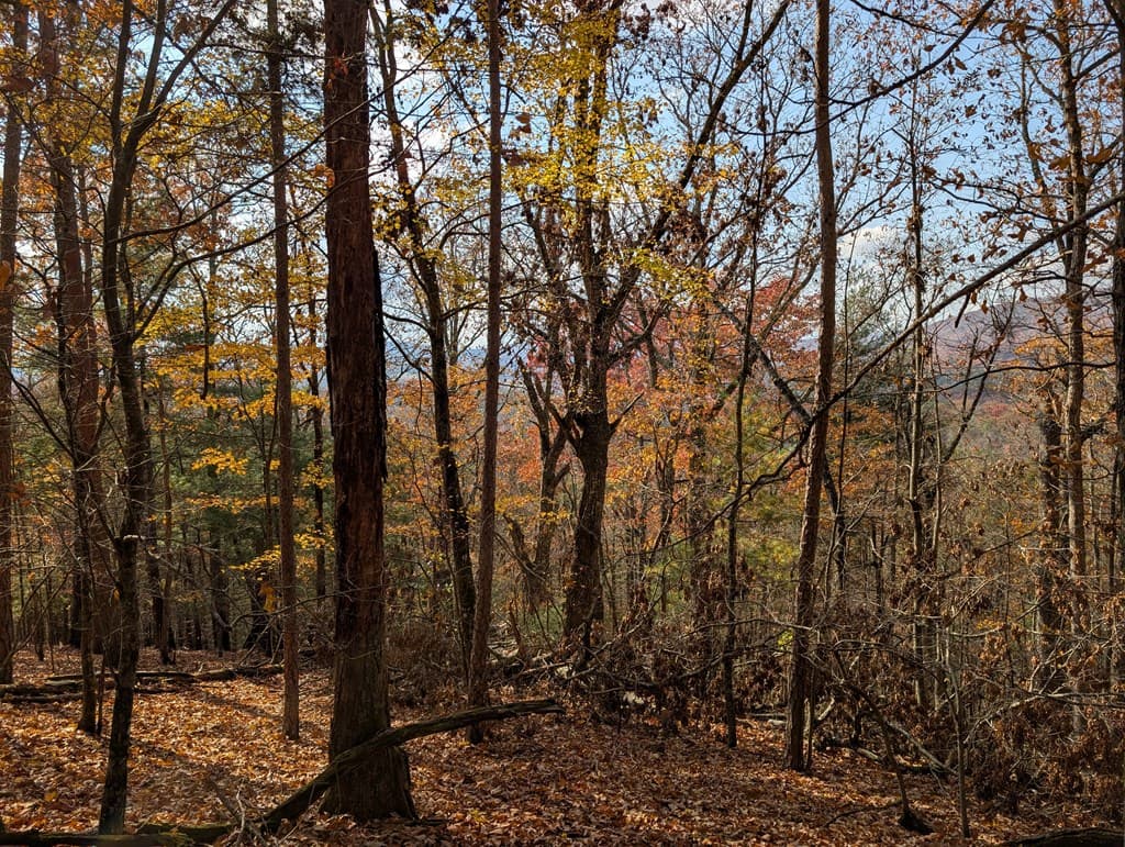 902 Mountain Top Drive, Murphy MD 20906 - Photo