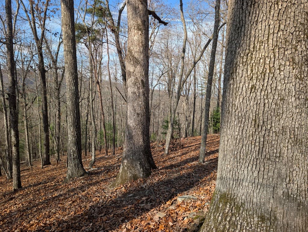 902 Mountain Top Drive, Murphy MD 20906 - Photo