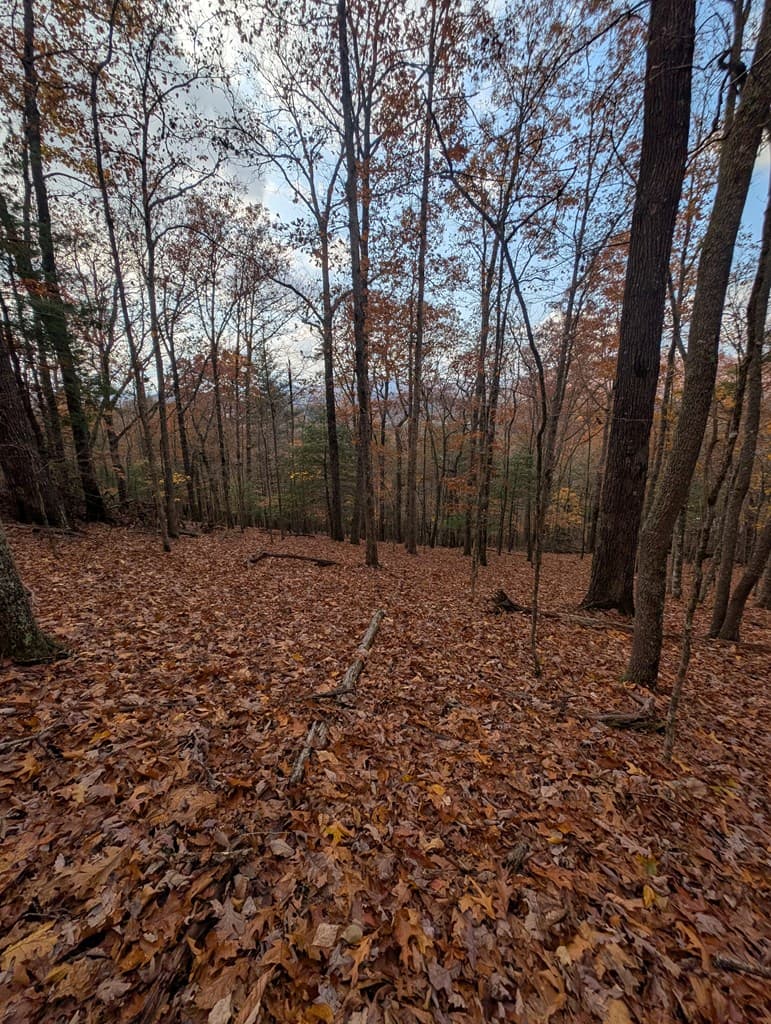 902 Mountain Top Drive, Murphy MD 20906 - Photo