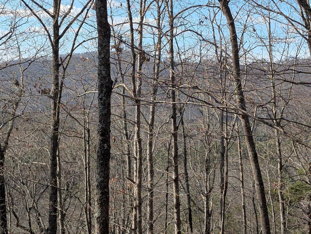 902 Mountain Top Drive, Murphy MD 20906 - Photo